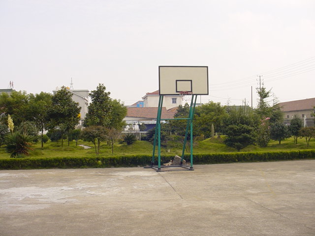 A公司花园.jpg